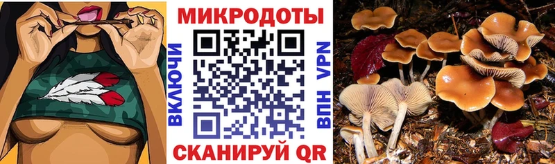 Галлюциногенные грибы MAGIC MUSHROOMS Хвалынск